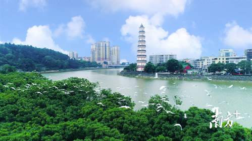 高州是一座绿色健康之城。通讯员 