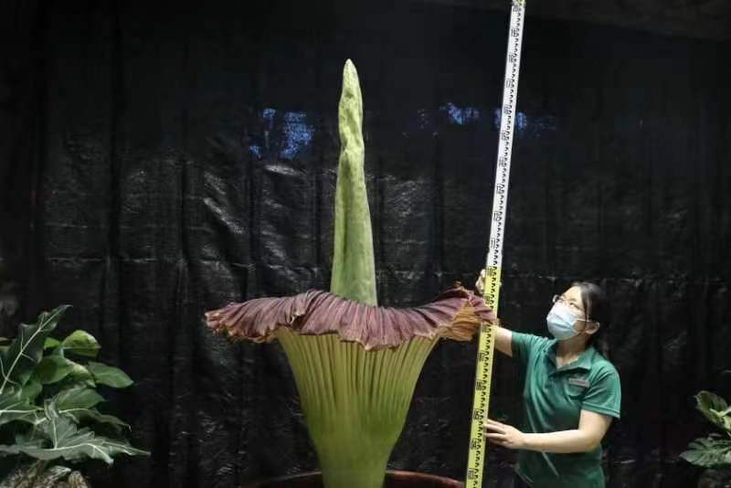 20220725091950tnOECS.jpg fc0a92a1d69dd0b2f0f8cda661cb471.jpg